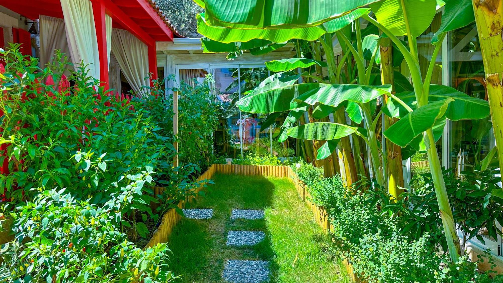 Alacati Wellness Garden מראה חיצוני תמונה